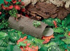 Yellow Door - Dutá kláda