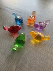 Vtáky vo farbách dúhy