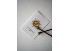 Noty pro Tambú – Tambú v Slovenských rytmoch