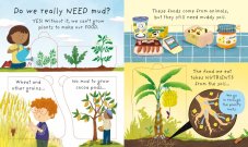 Usborne | Very First Questions and Answers: What is mud?