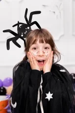 PARTYDECO Papírová dekorace Pavouci, černá, 27x17 cm