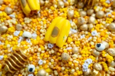 Playsense | Včelie kráľovstvo - zmyslový mix