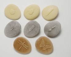 Yellow Door - Objevování hmyz