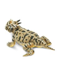 Safari Ltd. - Figúrka - Ropušník tŕnohlavý