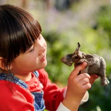 Schleich | Slon africký
