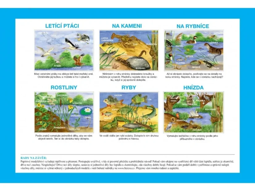 BETEXA Začínáme vystřihovat - U vody