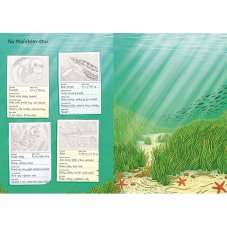 JIRI MODELS | Svět zvířat v samolepkách  | Zvířata v moři a oceánu