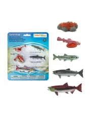 Safari Ltd. - Životní cyklus - Losos