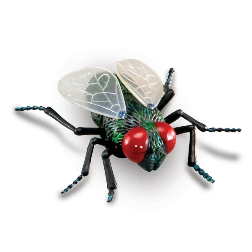Learning Resources | Jumbo Insects