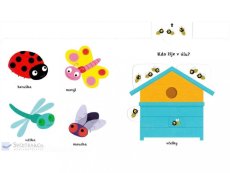 MiniPEDIE Objevujeme svět! Louka