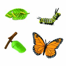 ANIMAL LIFE - Životní cyklus - Motýl