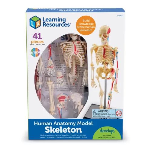 Learning Resources Model lidského těla - kostra