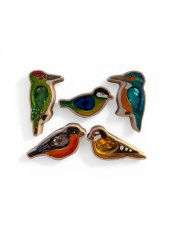 Dřevo z duhy | Ptačí sada