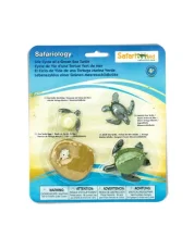 Safari Ltd. - Životný cyklus - Morská korytnačka