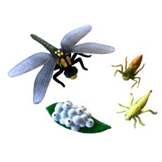 ANIMAL LIFE - Životný cyklus - Vážka