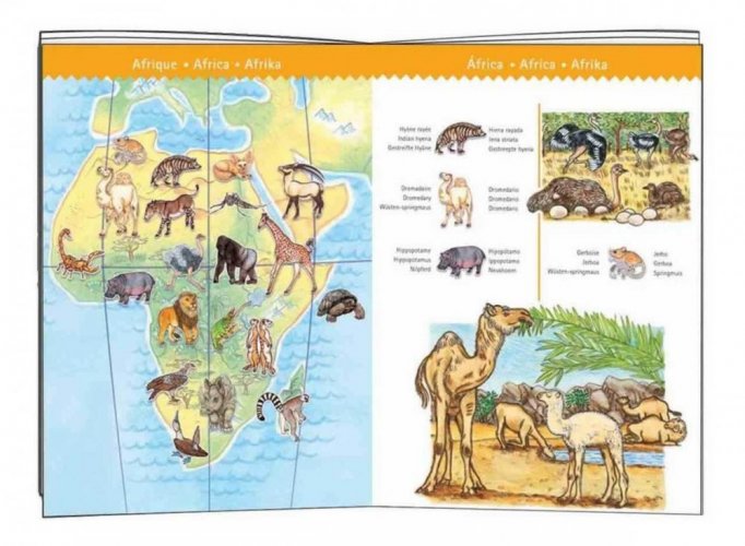 DJECO Obrázkové puzzle  Světová zvířata