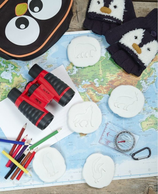 Yellow Door | Objevování | Stopy polárních zvířat