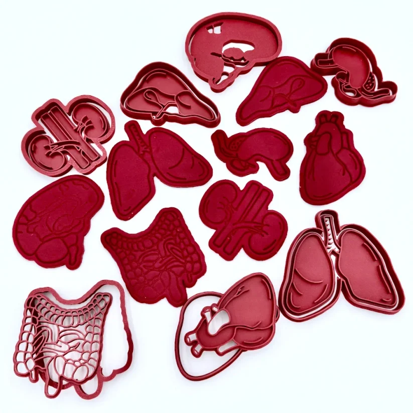 Orgány - vykrajovátka - sada 7 ks