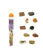 Safari Ltd. - TUBA - Fosílie