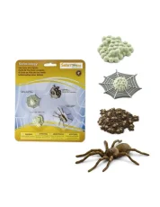 Safari Ltd. - Životní cyklus - Pavouk