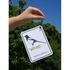 Kroužek k výukovým kartám