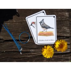 Kroužek k výukovým kartám