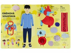 Lidské tělo v pohybu