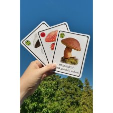 Výukové karty Houbičky