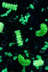 Smyslový mix Plankton - fosforeskujici - 500g