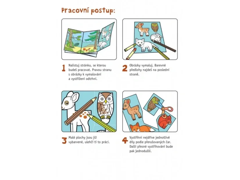 BETEXA Začínáme vystřihovat Zvířátka ze světa