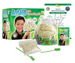 Insect Lore Mravenisko - Anthill