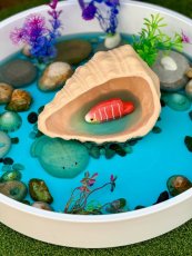 Yellow Door - Mušle