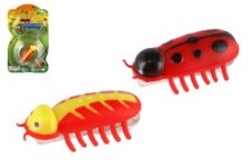 Crazy Insect - brouk