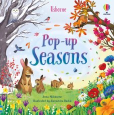 Usborne | Pop-Up Seasons