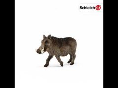 Schleich - Prase bradavičnaté