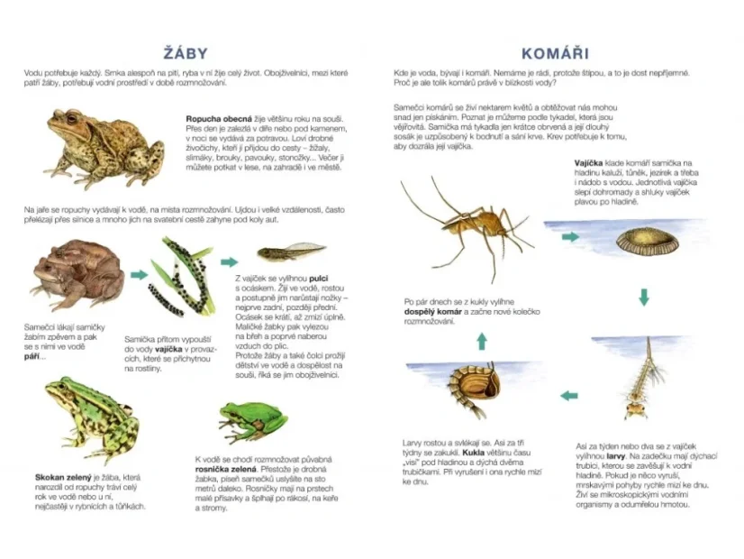 BETEXA Začínáme vystřihovat - U vody