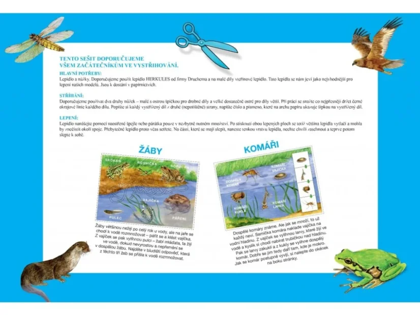 BETEXA Začínáme vystřihovat - U vody