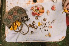 GRAPAT | MUSHROOM GROVE