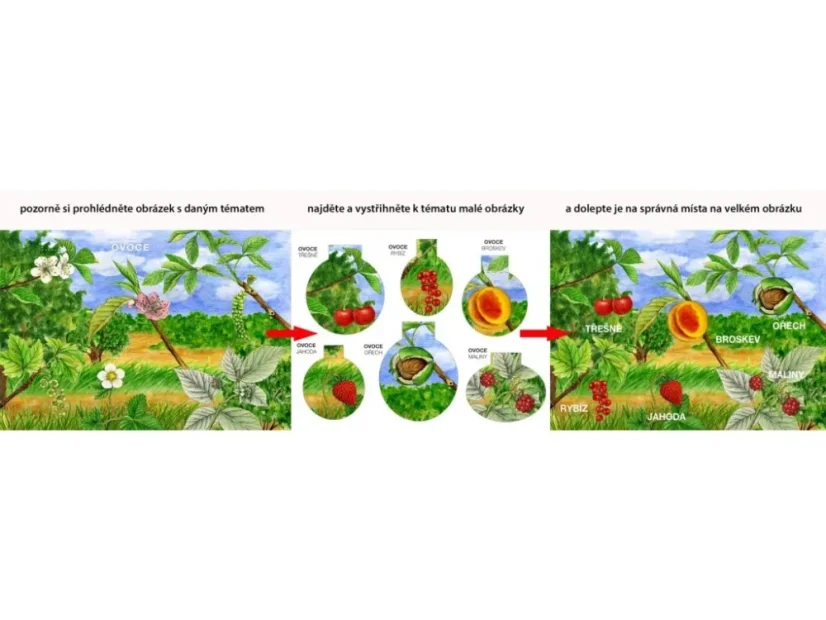 BETEXA Začínáme vystřihovat - Zahrada