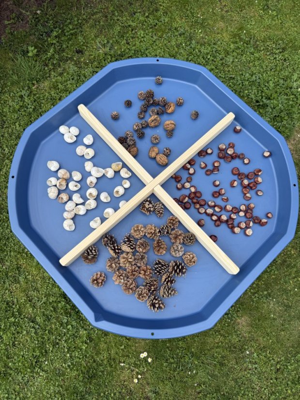 TUFF TRAY | Drevený rozdeľovač | demont