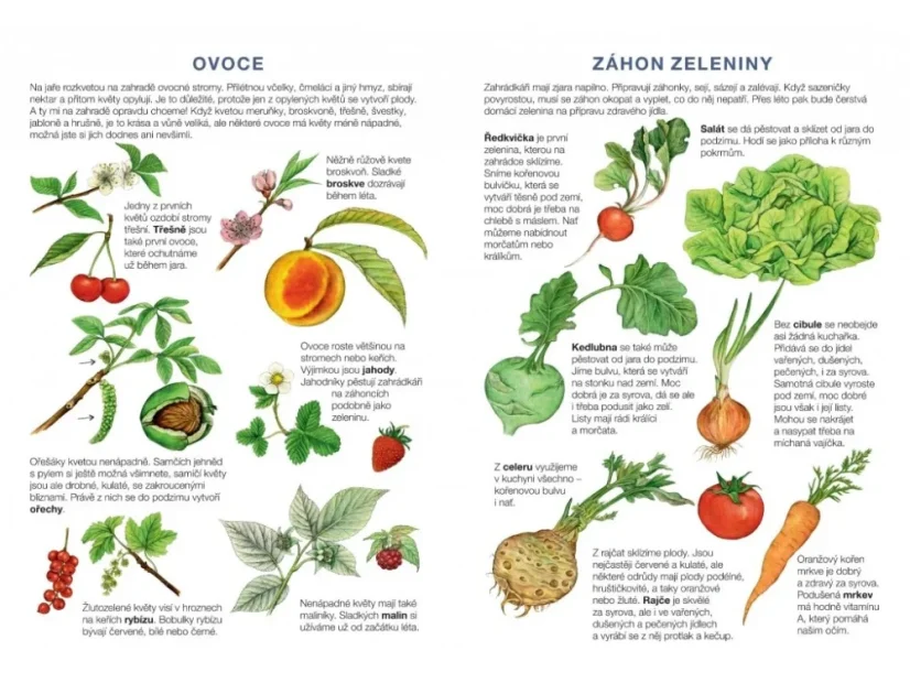 BETEXA Začínáme vystřihovat - Zahrada