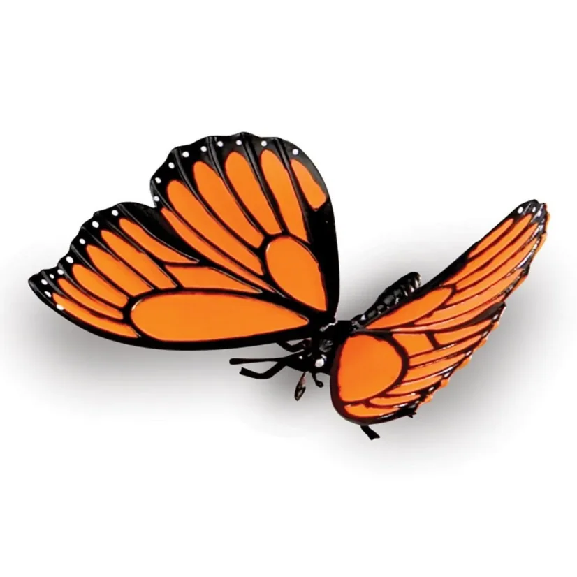 Learning Resources | Jumbo Insects