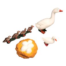 ANIMAL LIFE - Životný cyklus - Husa