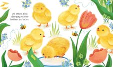 Usborne | One Little Chick