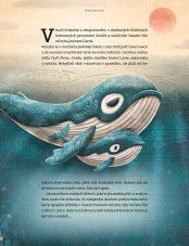 ALBATROS | Gerda, příběh velryby
