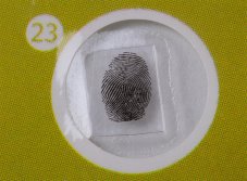 Levenhuk | Sada hotových živočišných preparátů | LabZZ P12
