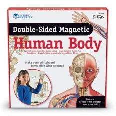 Learning Resources Oboustranné magnety - lidské tělo