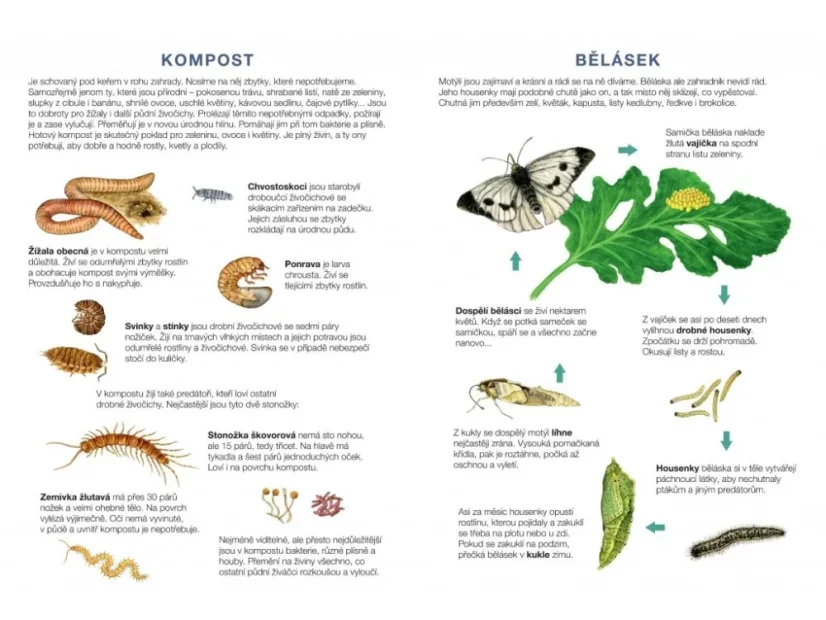 BETEXA Začínáme vystřihovat - Zahrada