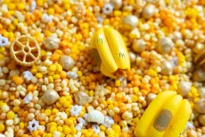 Playsense | Včelie kráľovstvo - zmyslový mix