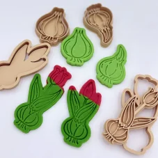 Vývojový cyklus tulipánu - vykrajovátka - sada 4 ks